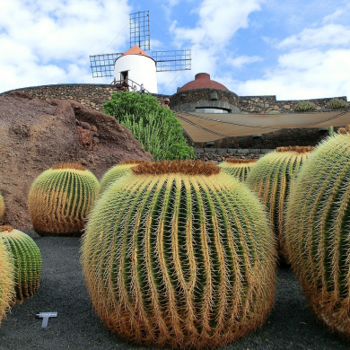 Lanzarote