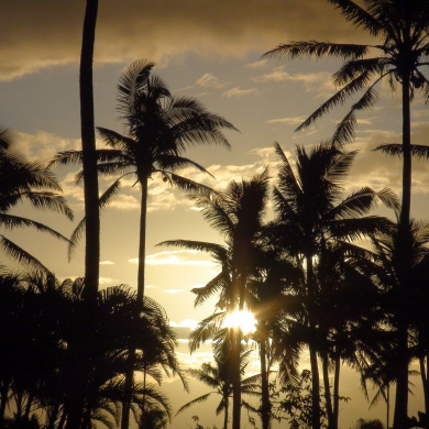 Fiji