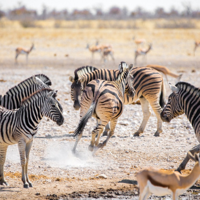 Namibia