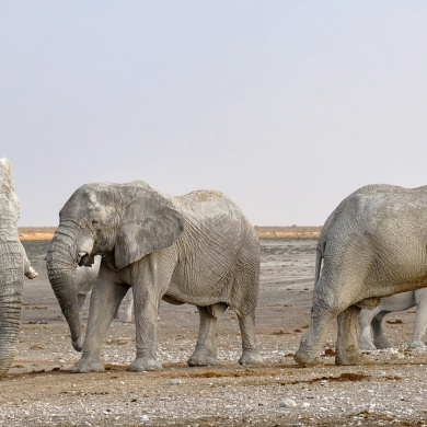 Namibia