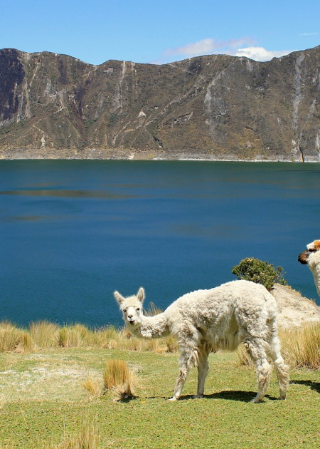 Ecuador