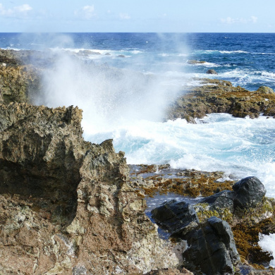 Aruba