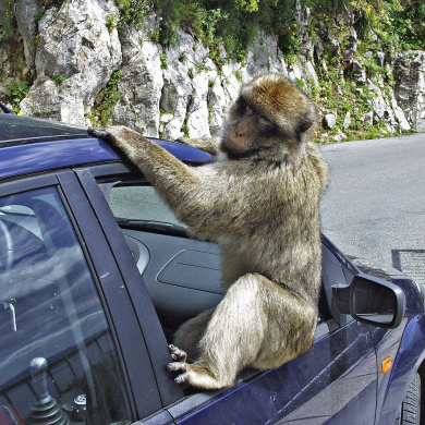 Gibraltar