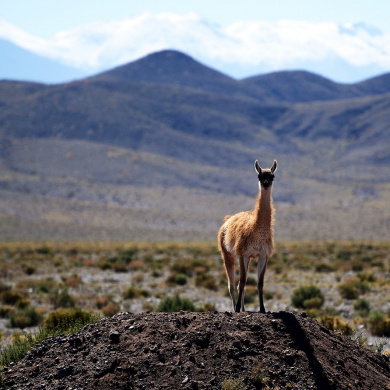 Chile
