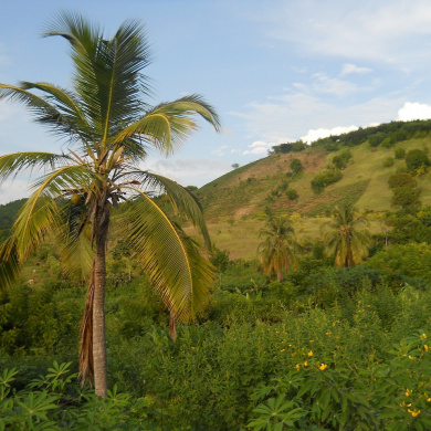 Haiti