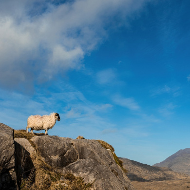 Ireland