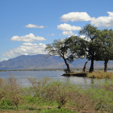 Zambia
